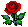 flowerbanner